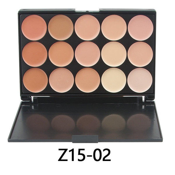 Professional 15-color correcting palette