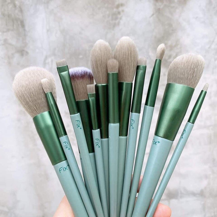 Fix+ Professional Makeup Brush Set Of 13 Pieces - BlushyLady